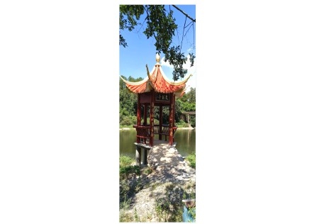 &#30343;&#20896;
